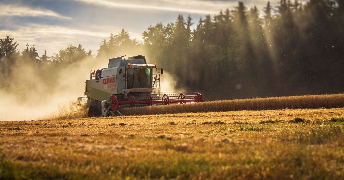 agricultura-campo-cultivo-agricultor-colleita-sega