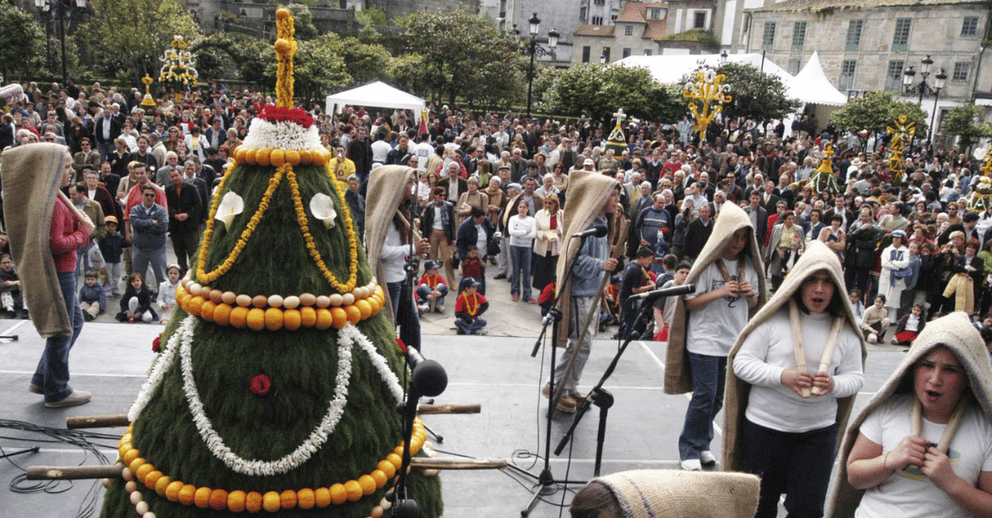 Maios Pontevedra
