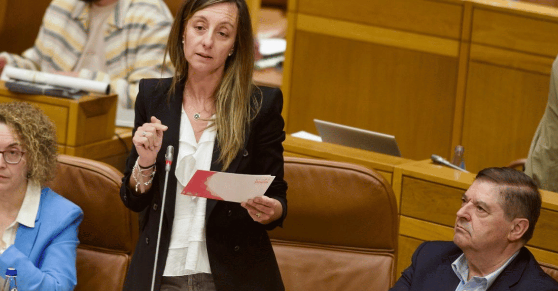 Paloma Castro Psoe