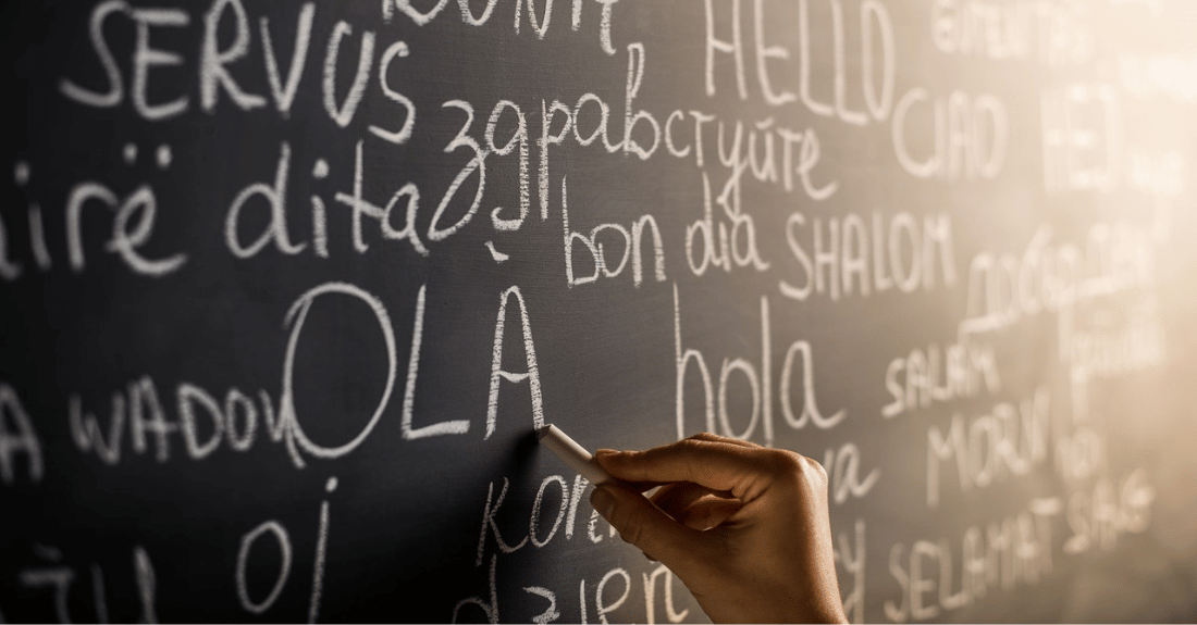 curso escolar