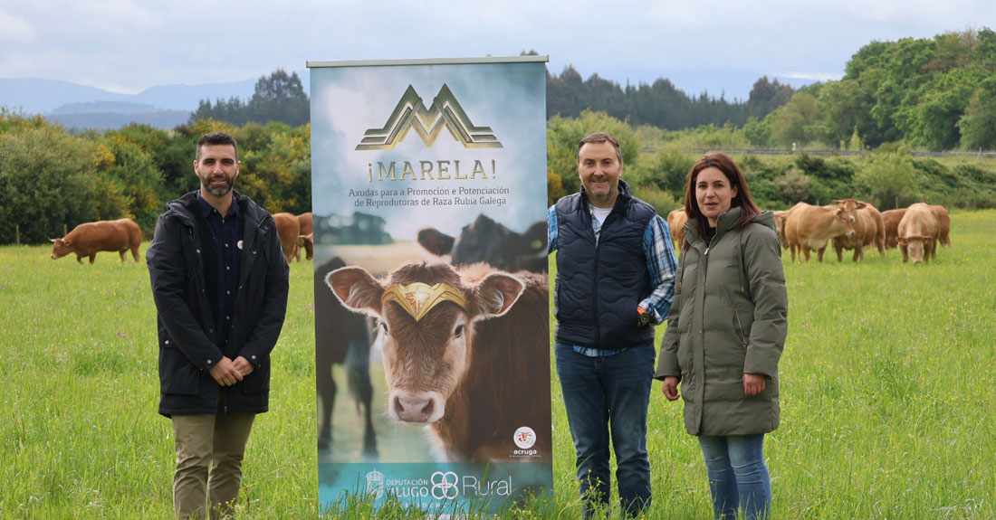 programa-marela-presentacion