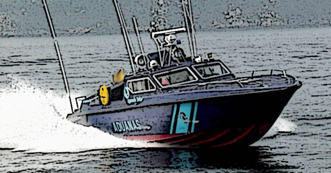 Barco aduanas