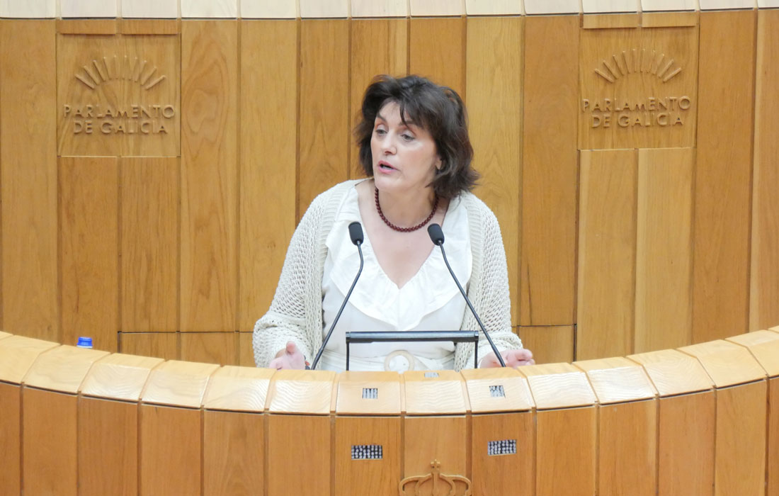 Montse-Valcarcel-BNG-Parlamento
