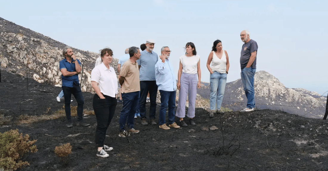 Poton Incendios