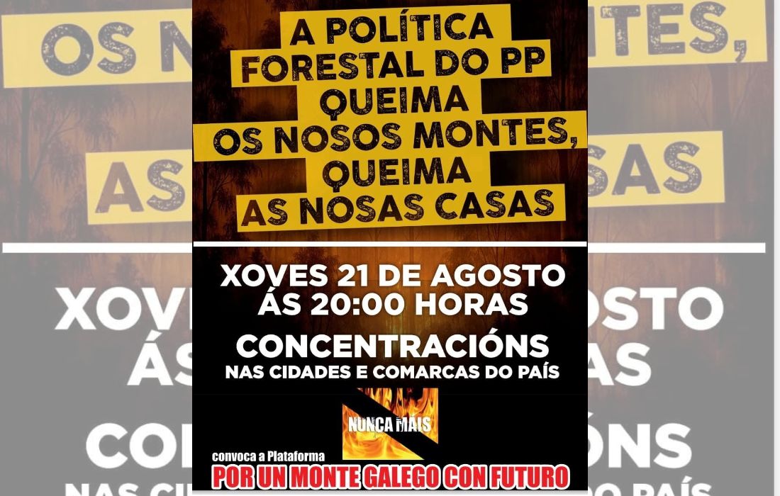 concentracion-incendios-galicia-por-un-monte-galego-con-futuro