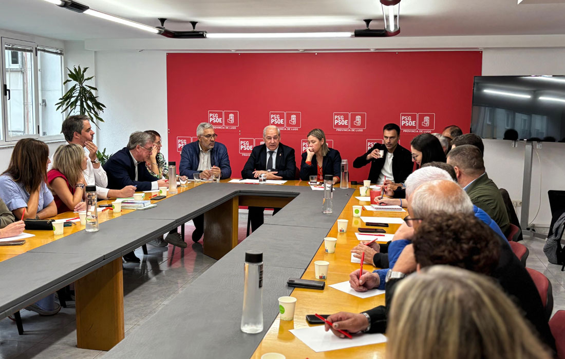 xuntanza-psoe-provincial-lugo