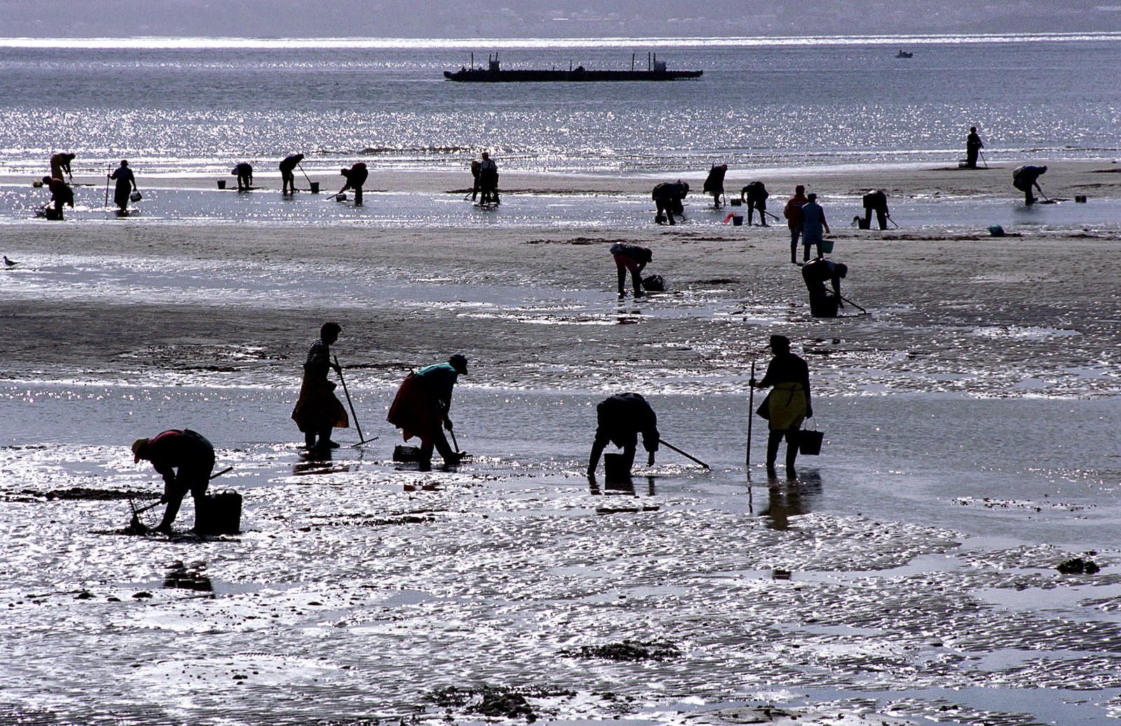 File written by Adobe Photoshop? 5.0