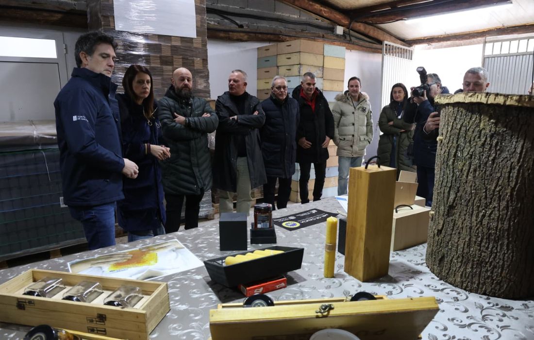 medio-rural-axudas-apicultura