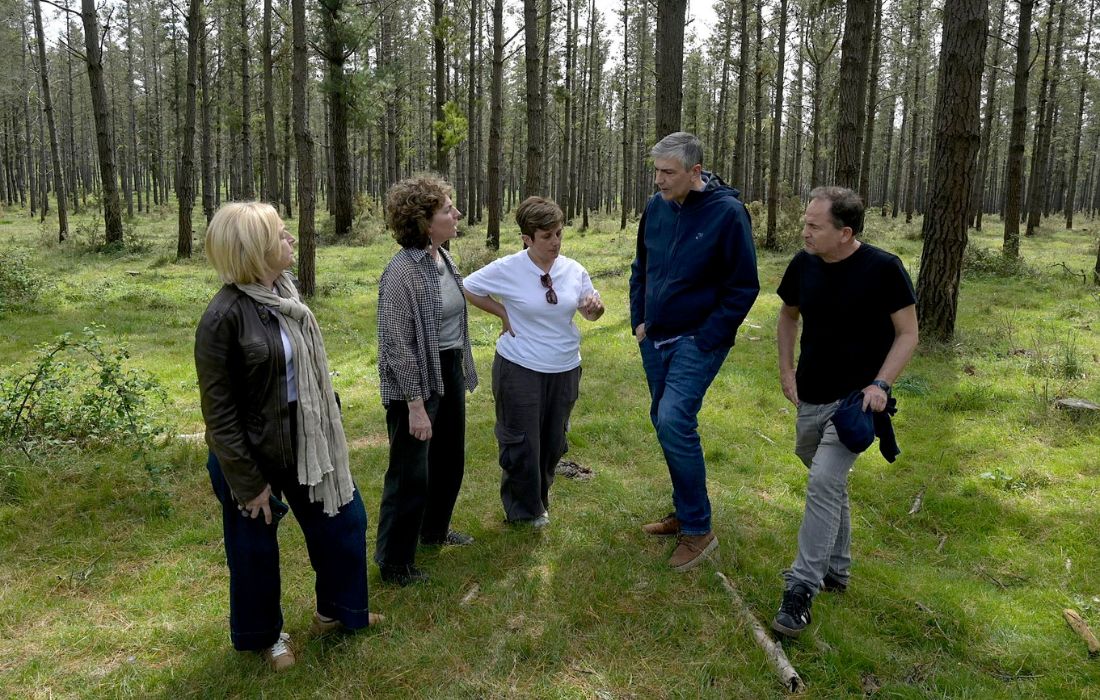 VILASANTAR banda marron