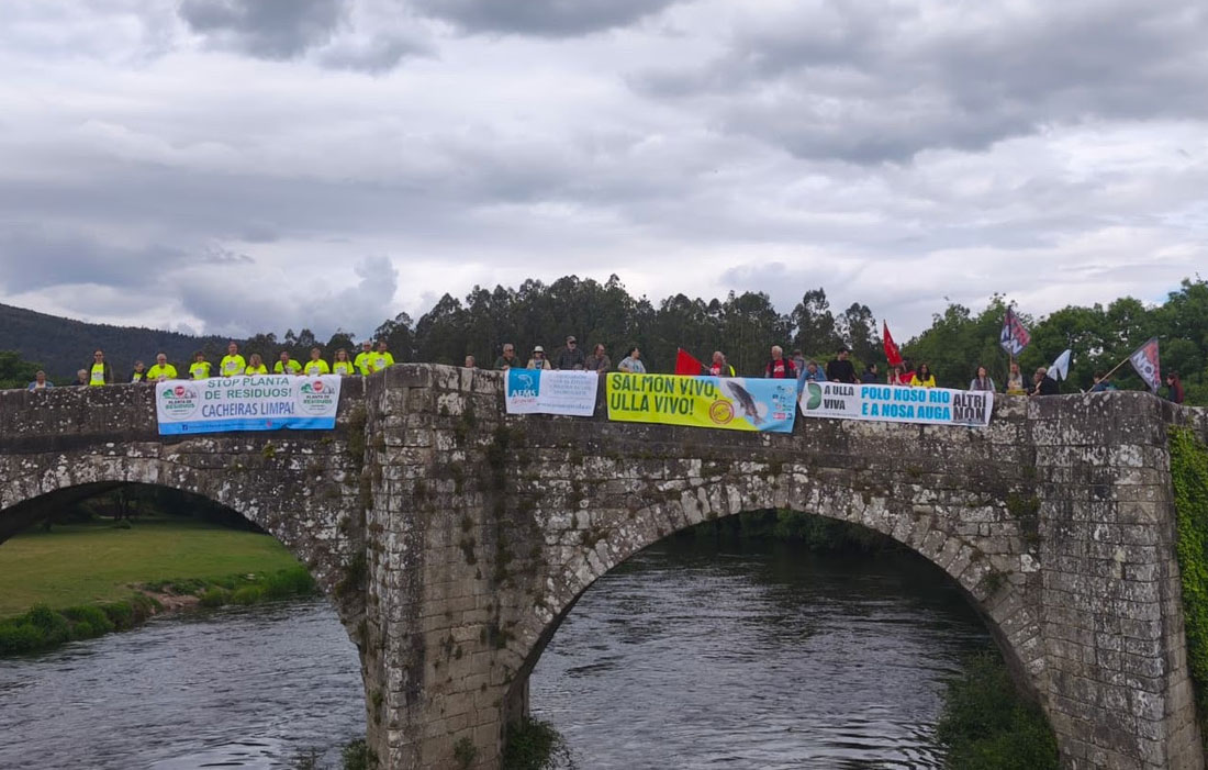 ADEGA-pide-a-suspensión-do-campionato-de-pesca-do-salmón
