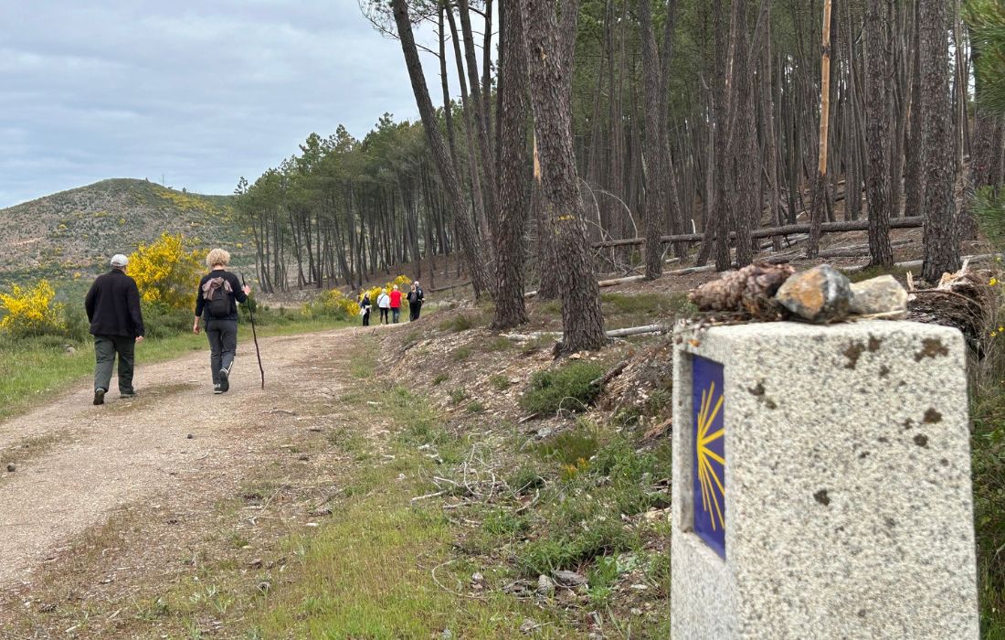 camiño-do-inverno-descubrir-quiroga