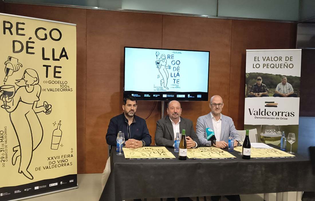 presentacion-feira-do-vino-valdeorras