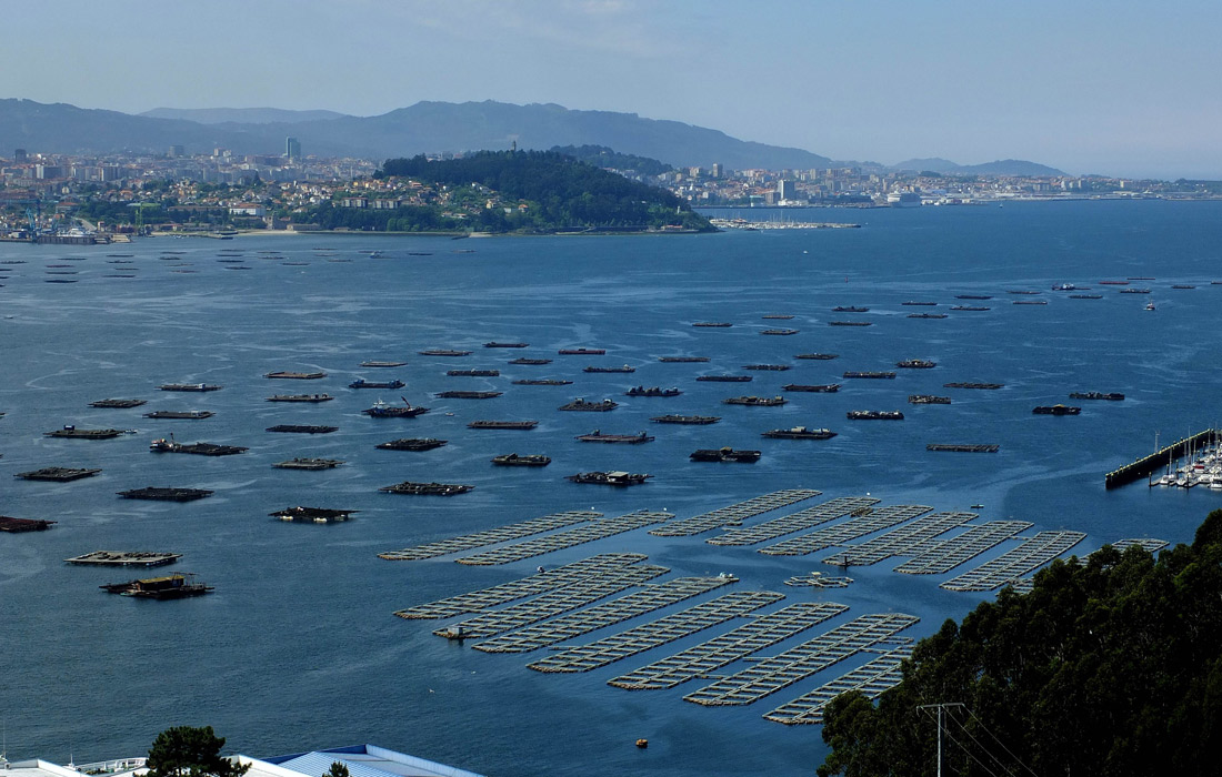 ria-de-vigo