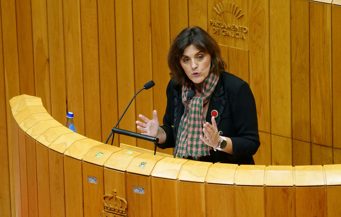 Montse-Valcarcel-BNG-Parlamento-de-Galicia