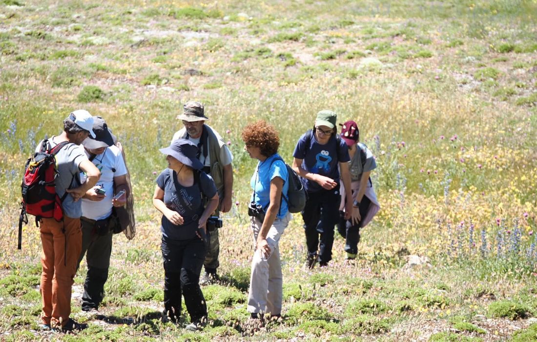 vii-bioblitz-do-courel