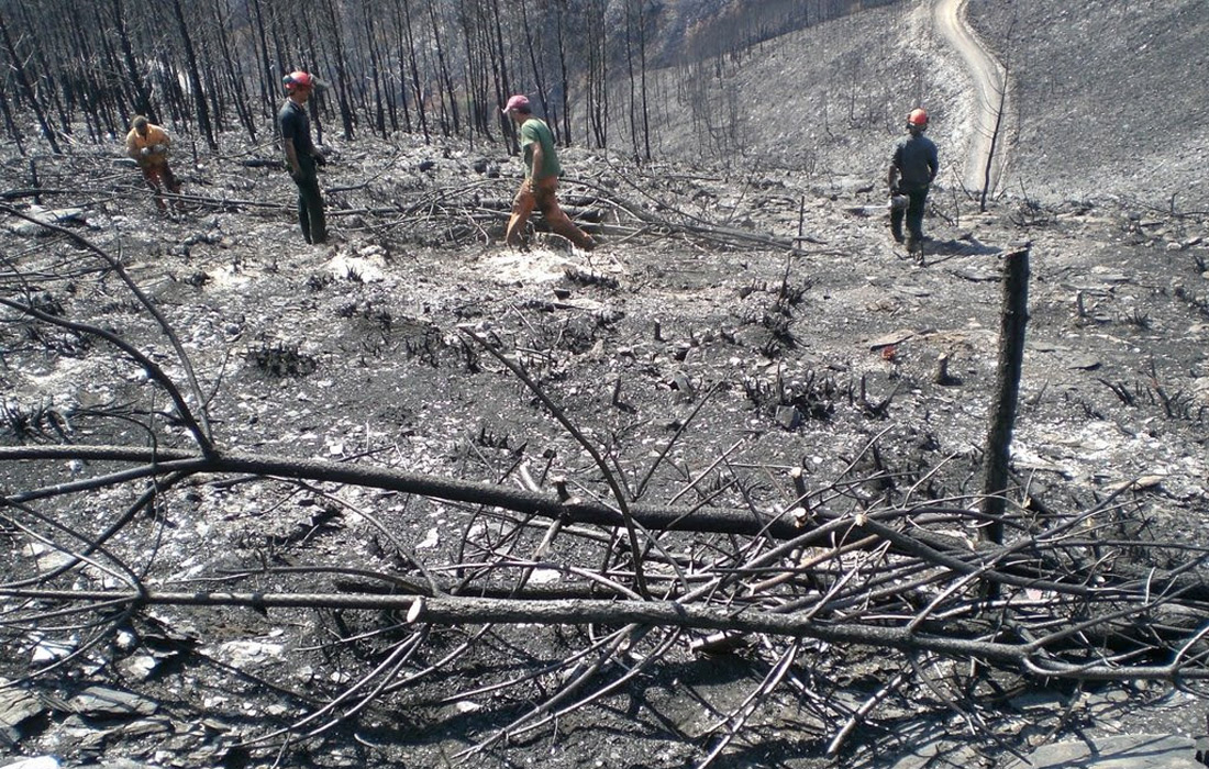 incedio-forestal