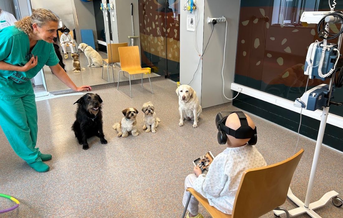 progrma-perros-terapia-coruña