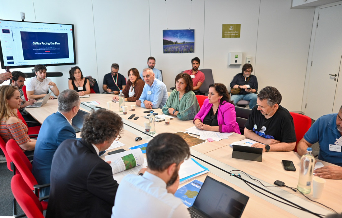 reunion-comision-de-incendios-ue