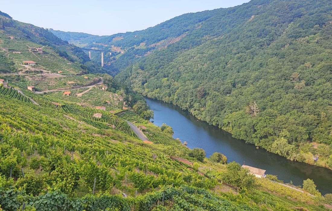 ribeira-sacra
