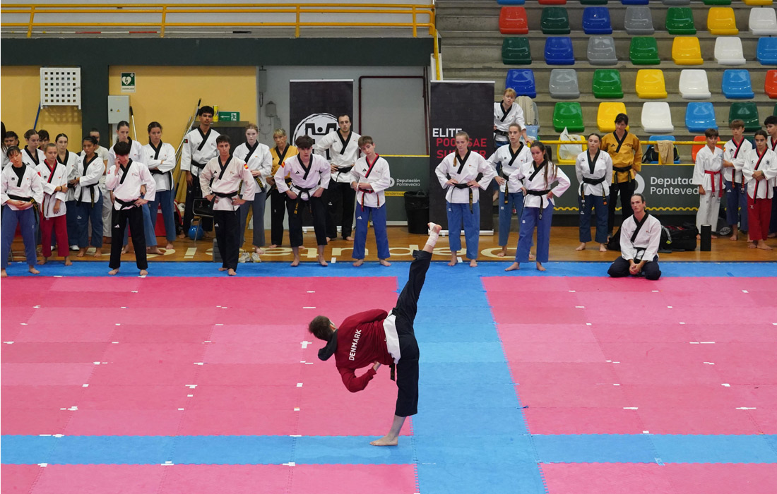 estancia-pontevedra-taekwondo