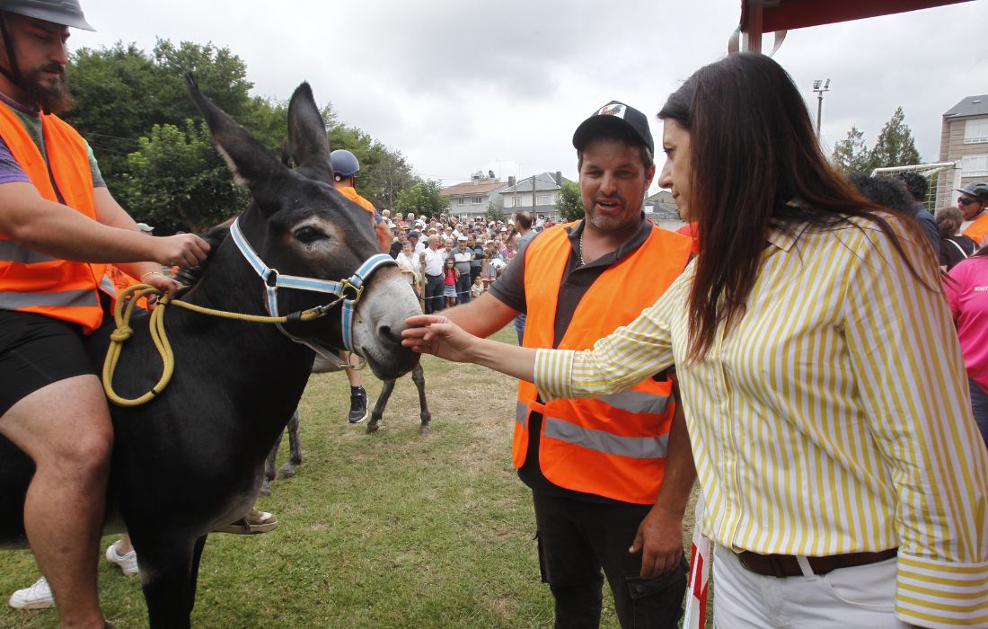 medio-rural-carreira-burros