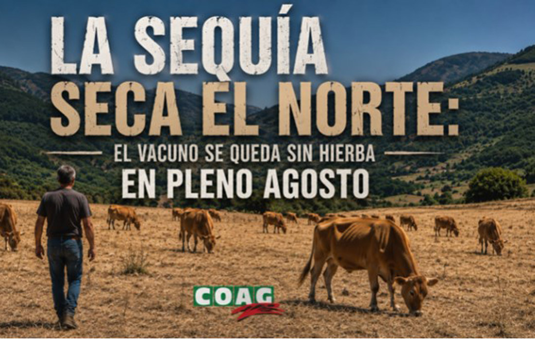 seca-agosto-coag