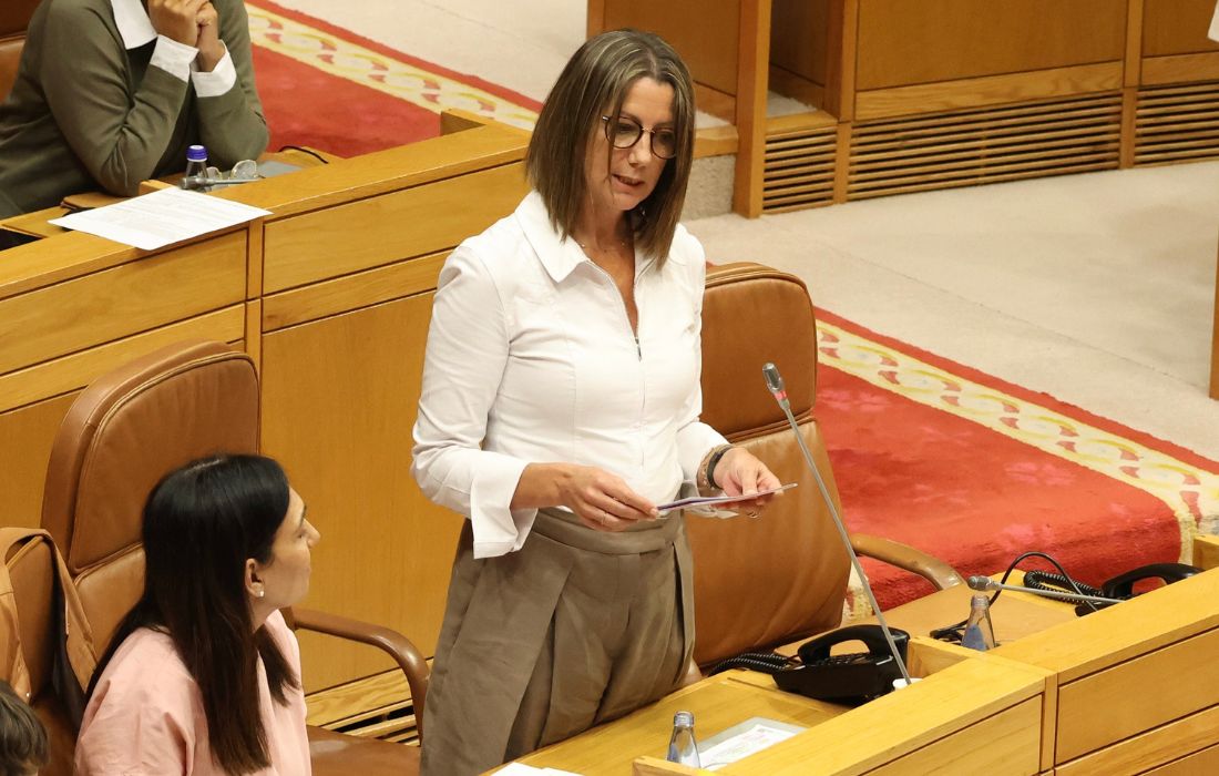 Lara Méndez PSOE