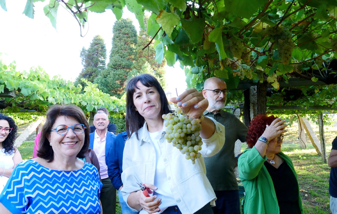 ana-ponton-recollida-de-uva