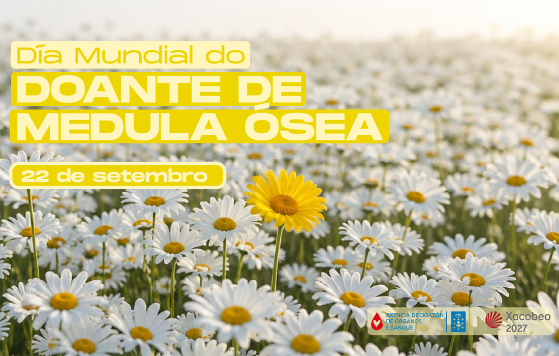 dia-mundial-medula-osea