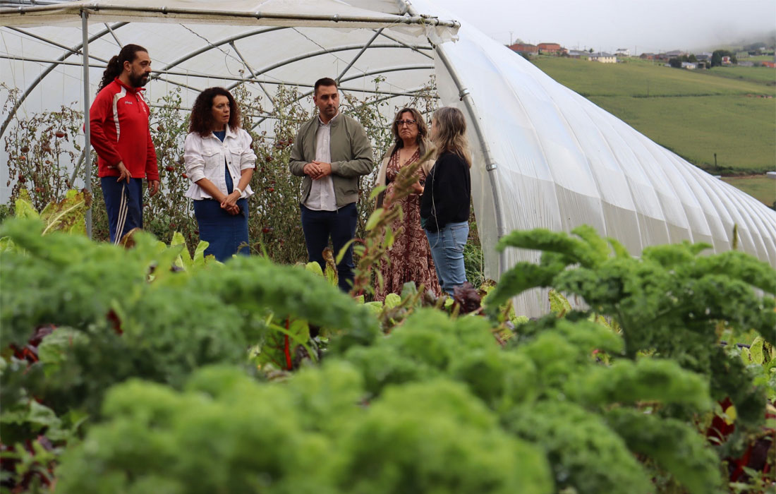 trabada-novos-agricultores-co-Programa-Cultiva