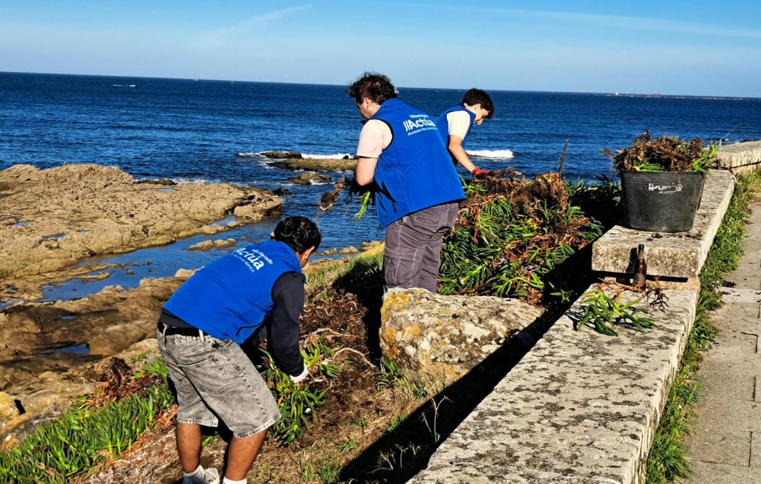 Colegio Hogar Afundación
