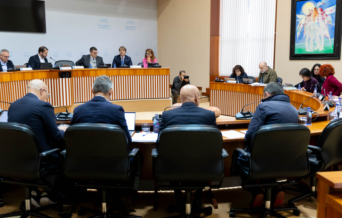 comision-de-facenda-lugo