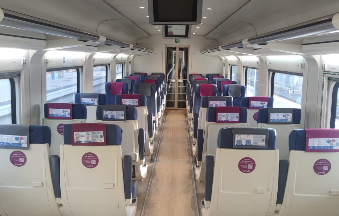 vagon-tren-renfe-dano-cerebral