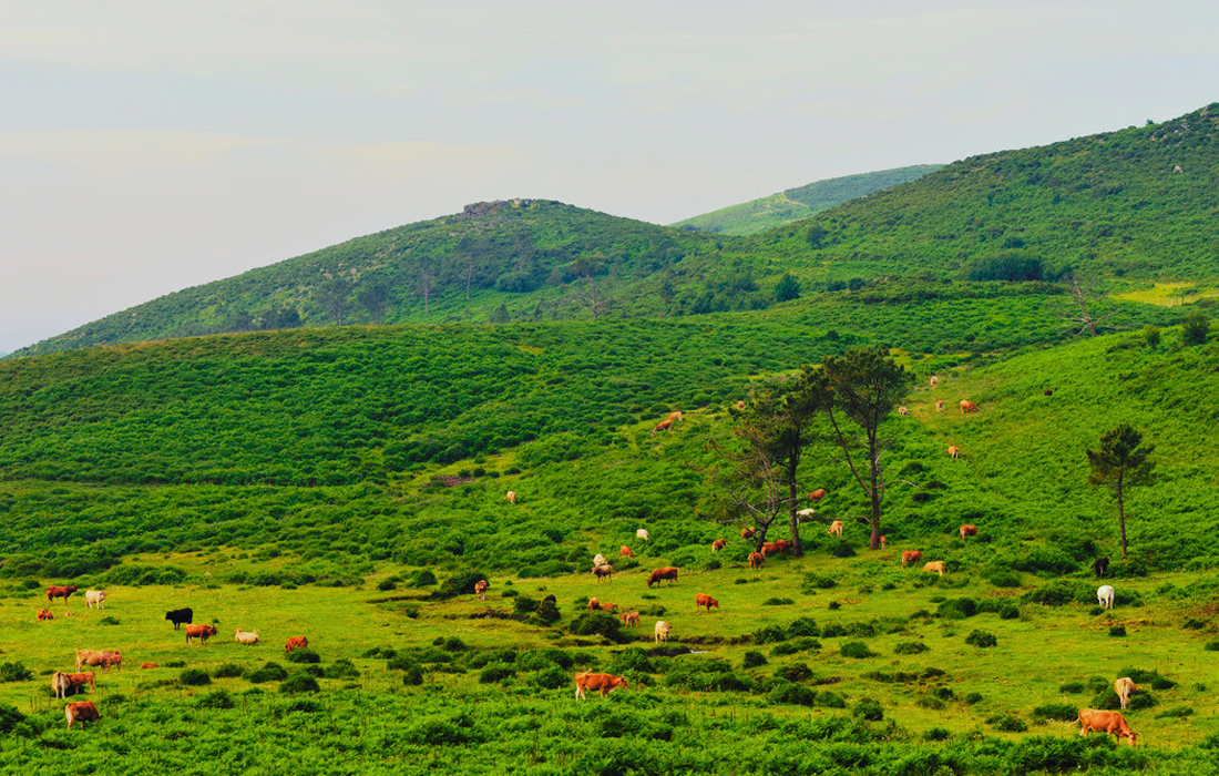 zona-parque-eolico-pico-tourinan-tivo