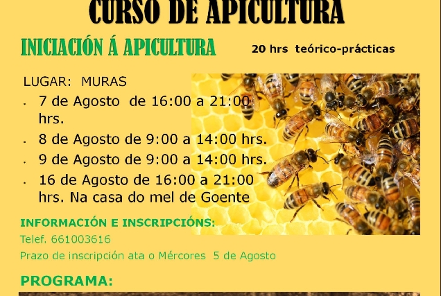 1596099695518_curso apicultura cartel scaled
