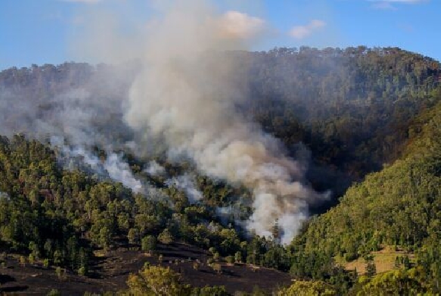 fire_smoke_bushfire_bush_scrub_trees_wildfire_hills 898245 e1597142541689