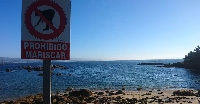 mariscar