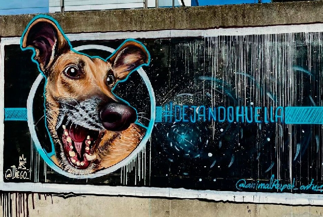 graffiti diego as veterinaria campus lugo