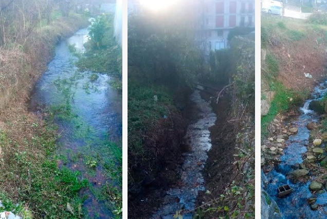Viveiro limpeza rios municipio