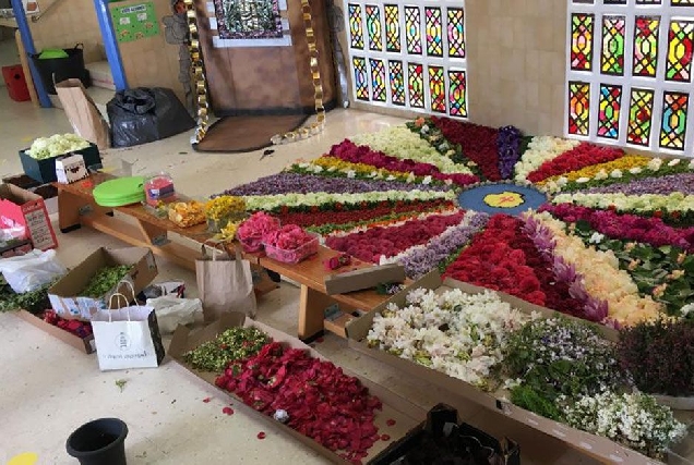 alfombra floral colexio roman terra cha vilalba