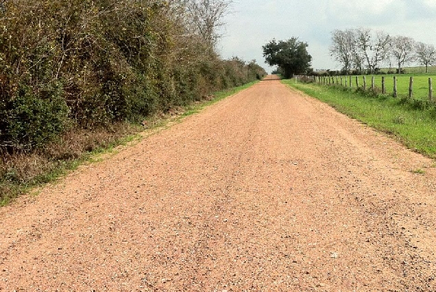 caminos rural