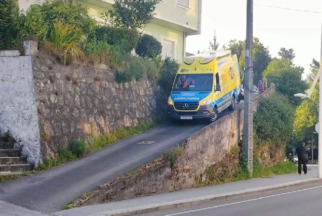 Misericordia e campos verdes Viveiro