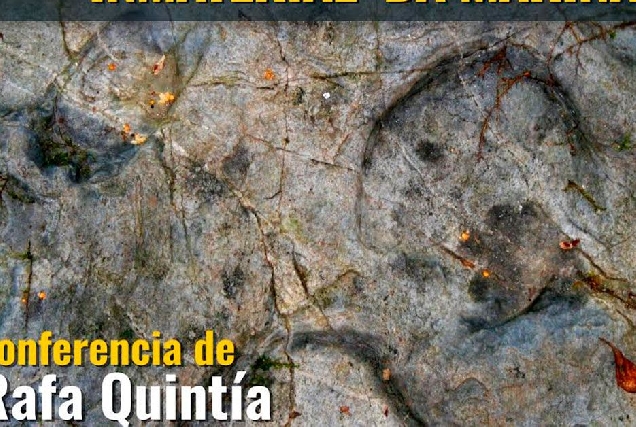 marina patrimonio rada quintia