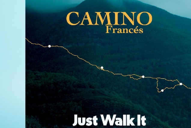 1 just walk video camino frances