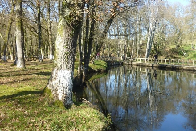 Ruta Pastoriza augas Fonmiña praia baltar