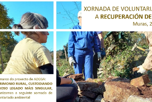 restauracion muros pedra muras adega