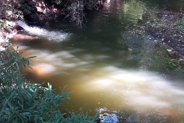 bng cervo verquidos rio covo 2