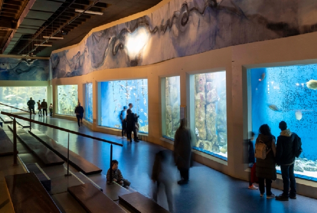 Imaxe do Aquarium da Coruña