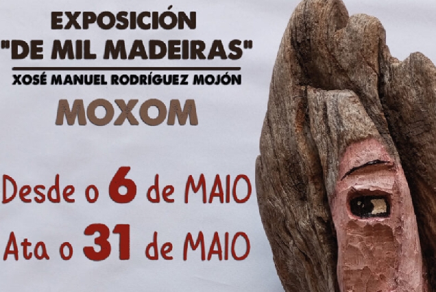 Imaxe do cartel da exposición 'De mil madeiras'