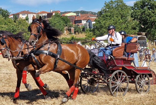 concurso-territorial-de-Enganches-en-Chantada